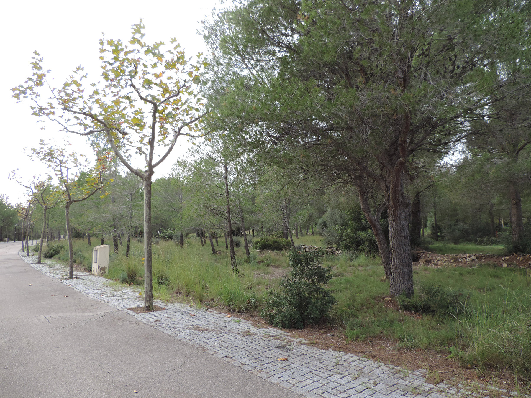 L’Ajuntament de Mont-roig del Camp licita la venda de solars municipals per import de 3,5 milions d’euros